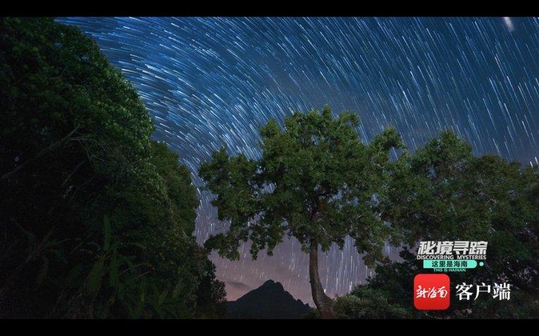 瑞德的冒险之旅中文版